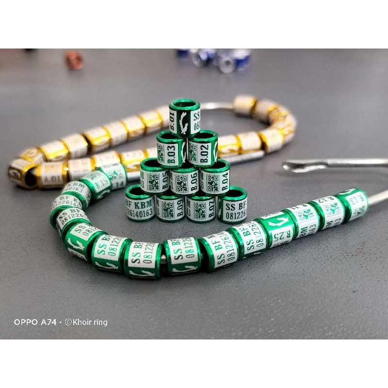 | RING BURUNG MURAH MEWAH KEREN MURAI BATU KENARI LOVEBIRD KUTUT KACER MERPATI PUTER PELUNG JALAK DL