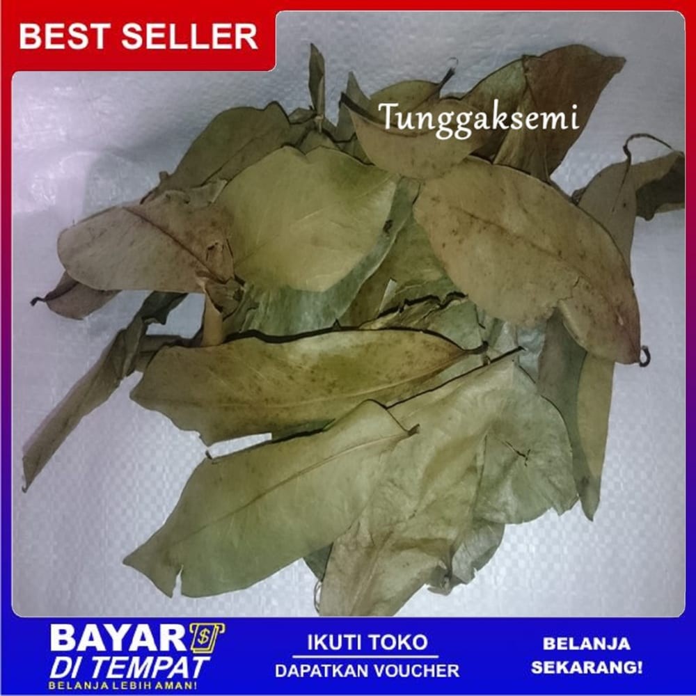 

Promo Murah Terlaris Daun Sirsak Kering GRADE A Kwalitas Premium 500 Gram