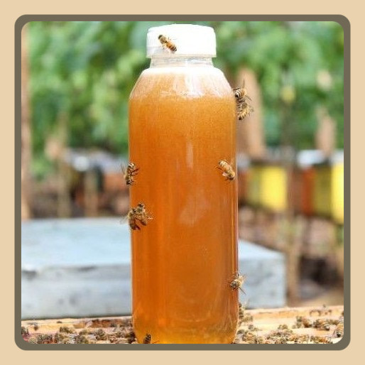 

[700 Gr] Madu Asli Dan Murni Tanpa Campuran Apapun | Raw Honey