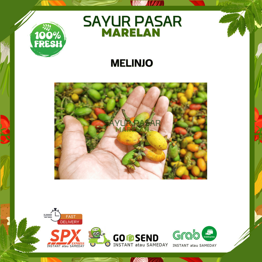 

MELINJO SAYUR - 250gr 500gr 1kg