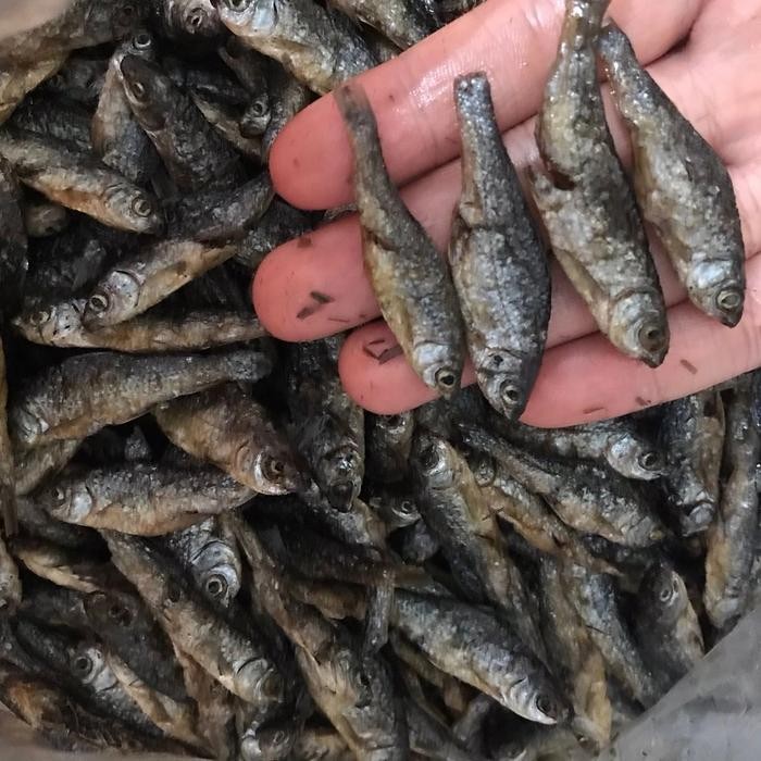 

ikan bilih padang / bilis singkarak 500gr - kecil