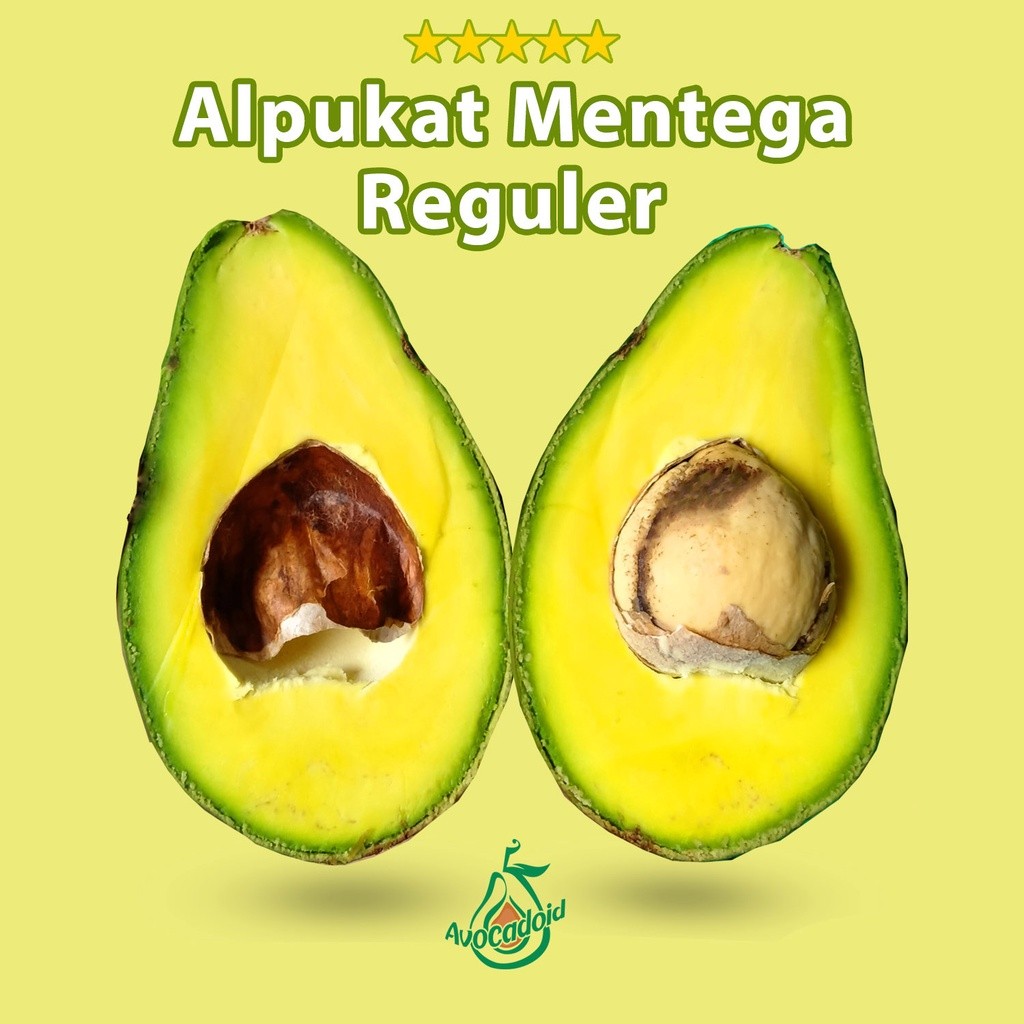 

NEW Alpukat Mentega Reguler Bergaransi PREMIUM