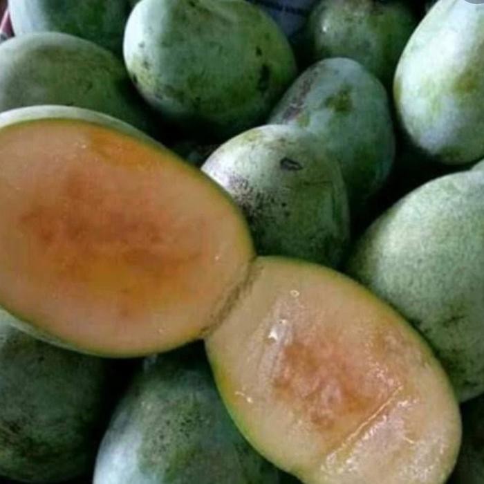 

Mangga Kweni 500gr