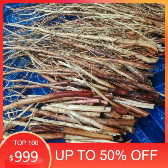 

Ready stock Akar pinang muda/akar jambe segar 100gram organik