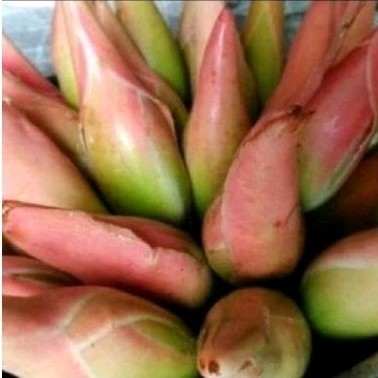 

bunga rombeh sgar 500 gr bunga kcomrang ready