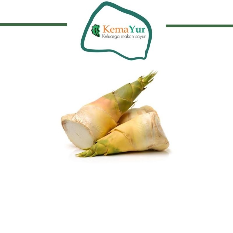 

REBUNG 500GR