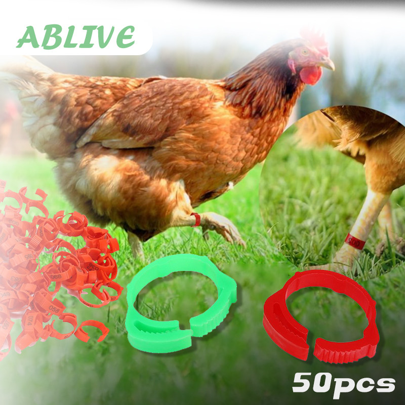 50pcs Gelang Ayam Kaki Gelang Kaki Ayam Gelang Kaki Ayam Aduan Cincin Kaki Ayam Penanda Ayam