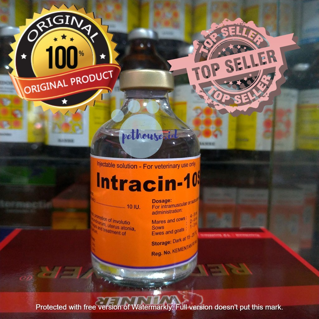 INTRACIN (Pengganti Oxytocin) Hormon Perangsang Kontraksi, Kelenjar Susu Sapi kambing anjing kucing