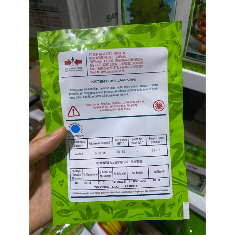 JAMIN MURAH Benih bibit timun ROMAN 10 gram ketimun hibrida dari benih pertiwi(BISA LANGSUNG ORDER)