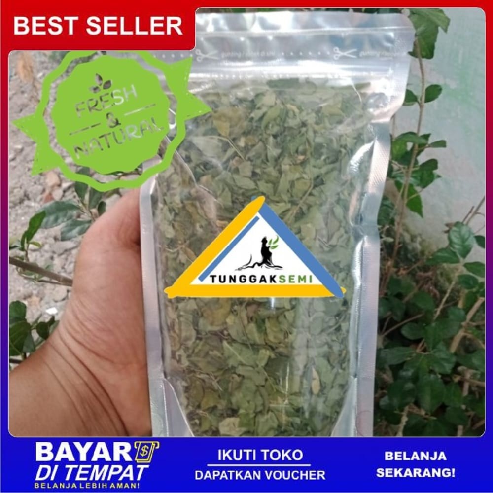 

Promo Murah Terlaris TEH DAUN KELOR 50gr Moringa Oleifera Malnutrisi Anak multivitamin