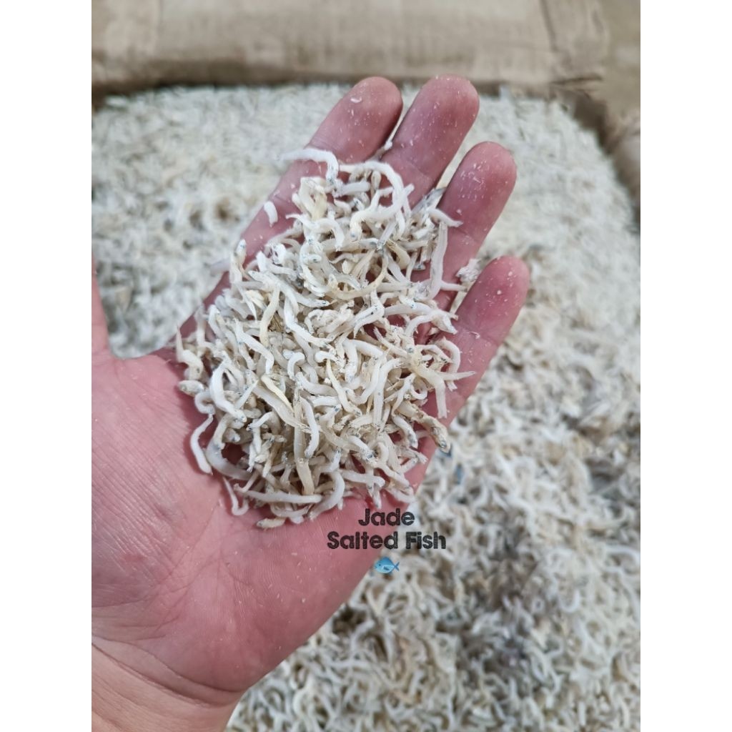 

Ikan Teri Medan 1kg ( warna kurang putih)