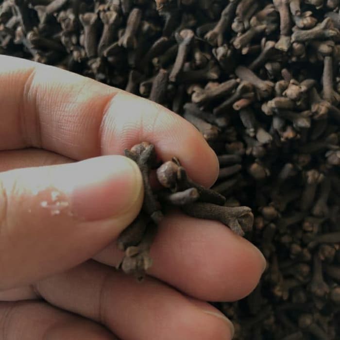 

Sahabatalam cengkeh kering 500gram KC