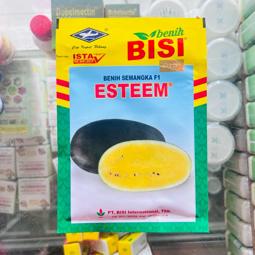Lionmarket Benih Semangka Kuning Esteem F1 20 Gram Cap Kapal Terbang