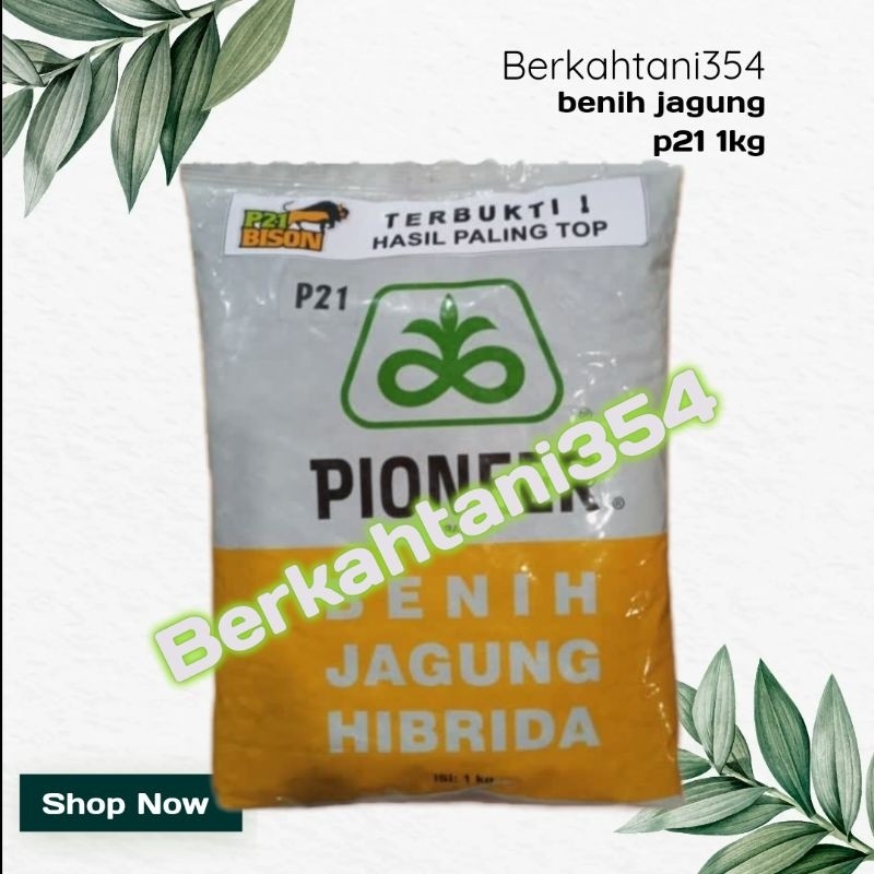 Benih Jagung P21 Pioner 1kg Bibit Jagung Pioneer P21 1kg