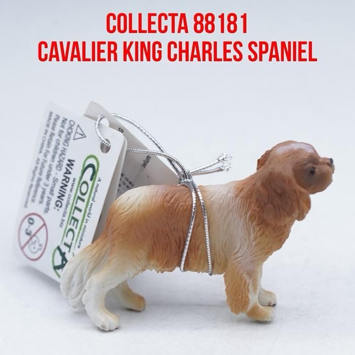 Collecta 88181 Cavalier King Charles Spaniel Dog Anjing Mainan Binatang Miniature Hewan Animal Figur