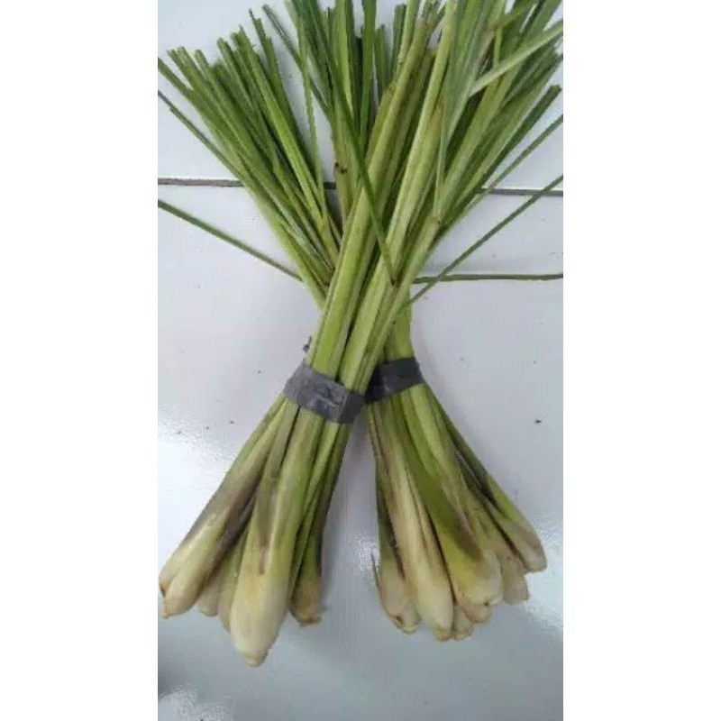 

Sereh Serai masak 1kg segar sereh hijau COD T.R.S