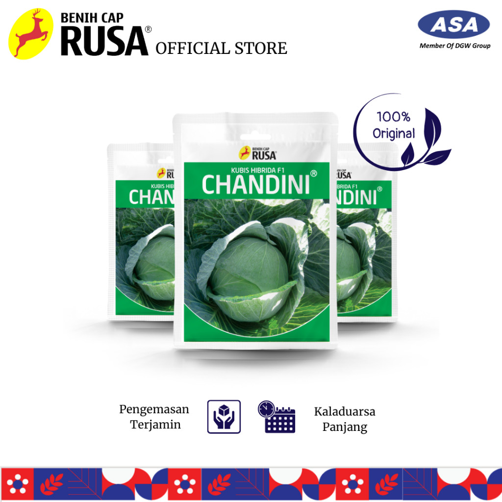 Benih Cap Rusa - 3330 BENIH BIBIT BIJI KUBIS CHANDINI - 25 & 10 GRAM | Sahabat Rusa