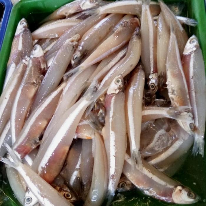 

Ikan Bilis Basah 500gr