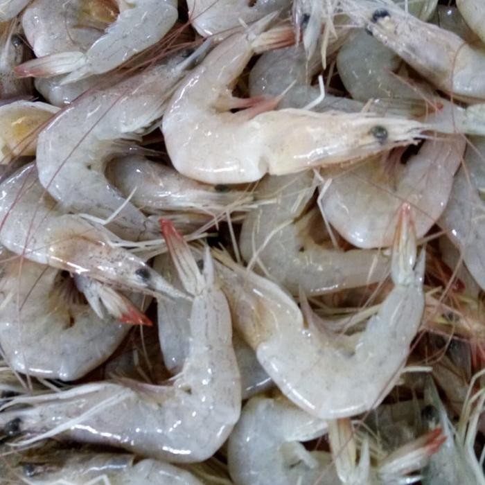 

Udang Pancet 500gr