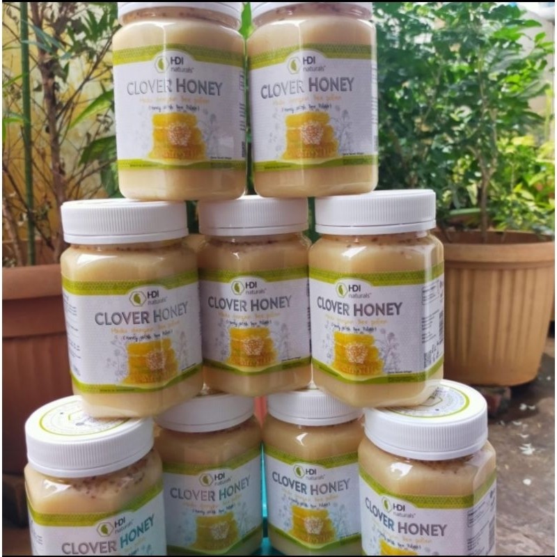 

CLOVER HONEY ORIGINAL Madu New Zealand