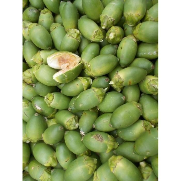 

Ready stok buah pinang ceming Ready stok Buah Pinang Muda / Pinang Hijau Fresh 500Gram