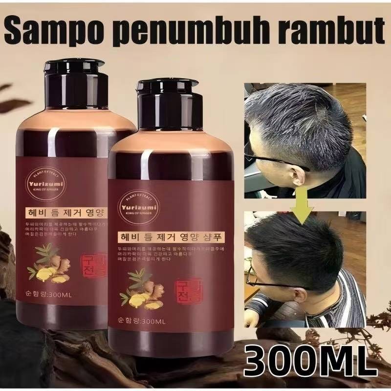 Sampo Penghitam Rambut Beruban Sampo Herbal Hitam Ginseng Alami