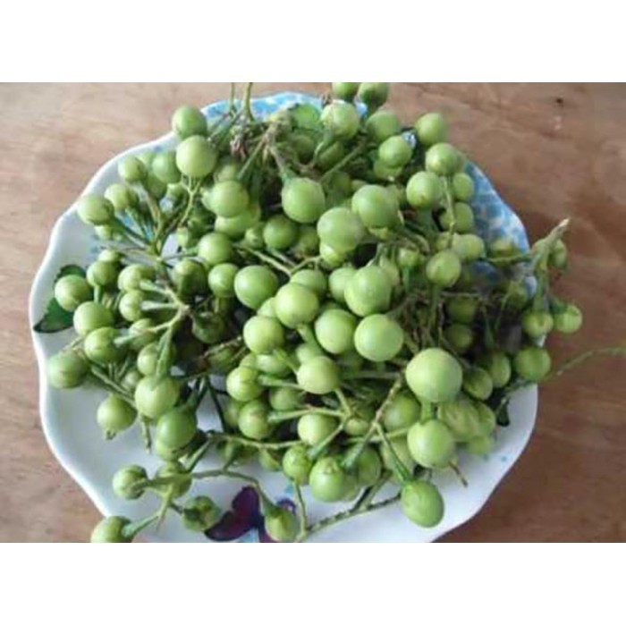 

OHI Buah Cepokak atau Takokak Segar 1 Kg KC