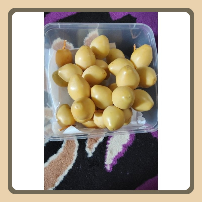 

CAMILAN KURMA MUDA PROMIL ( 1/2 KG )