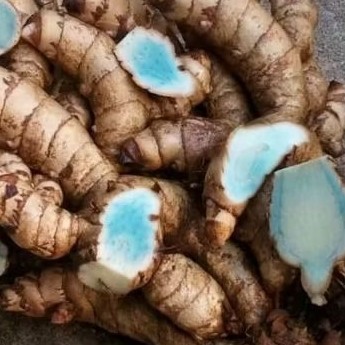 

. kunyit hitam. temu hitam. Temu Ireng Pres 1 kg, fres