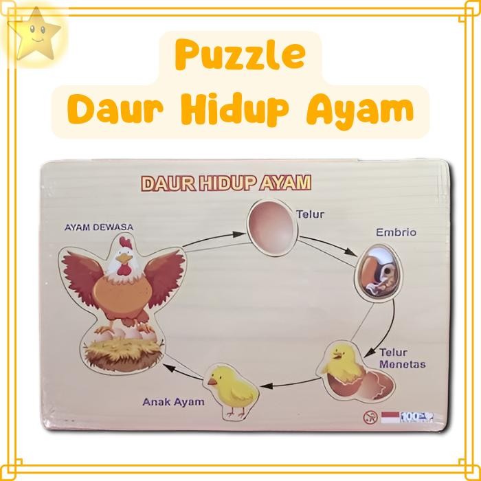 Mainan Edukasi Anak Edutoys Kayu Puzzle Daur Hidup Ayam - Model Terbaru