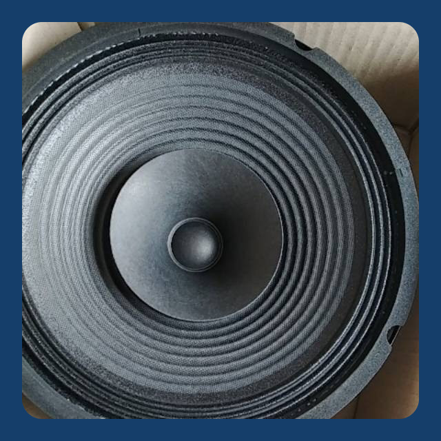 Speker  " 10 INCHI MEREK CANON *CORONG/FULL RANGE "