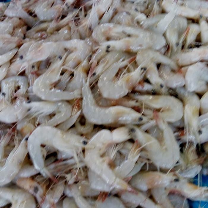 

Udang Laut Sedang 500gr