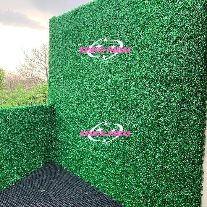 (TERMURAH) daun dolar rambat dinding plastik premium