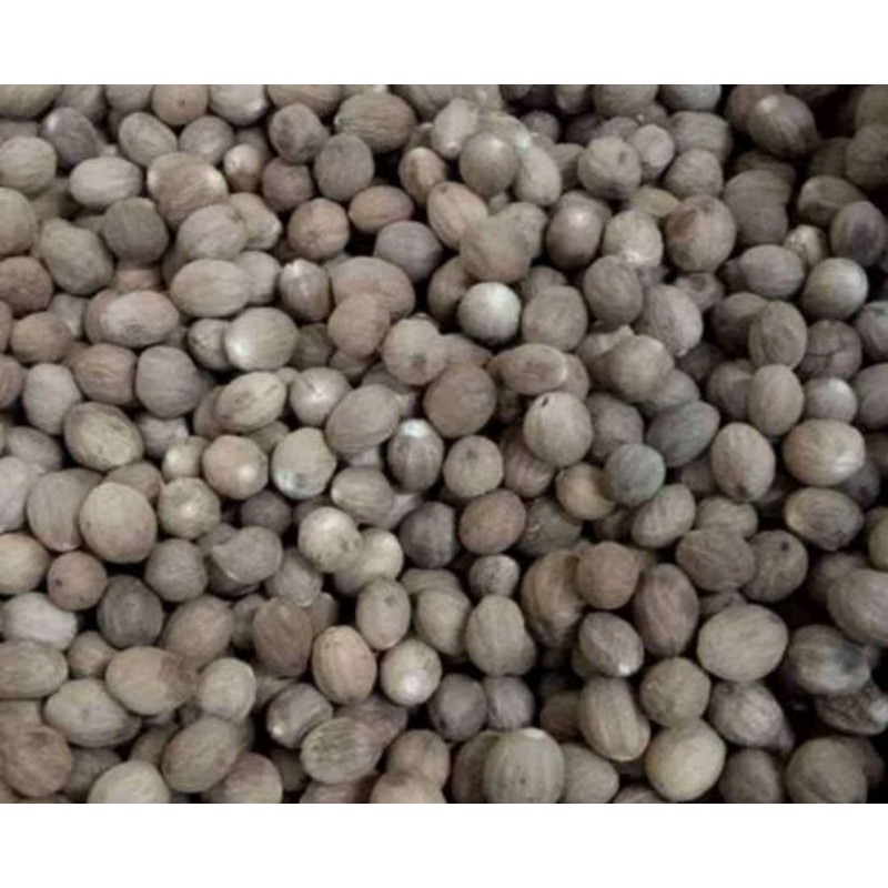 

PROMO! biji pala kiloan 1 kg / kilo