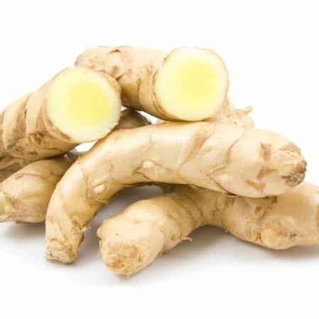 

Kunyit Putih Segar 1 Kg Langsung Ambil Dari Hutan Asli Organik Herbal Curcuma Zedoria Jamu Kunyit Asam Minuman Herbal Obat