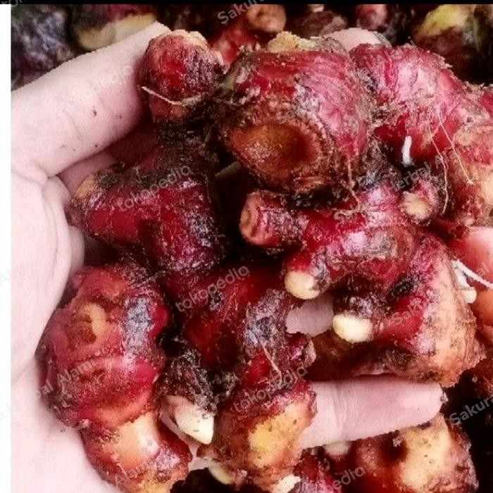 

1kg jahe merah segar dan bersih ready