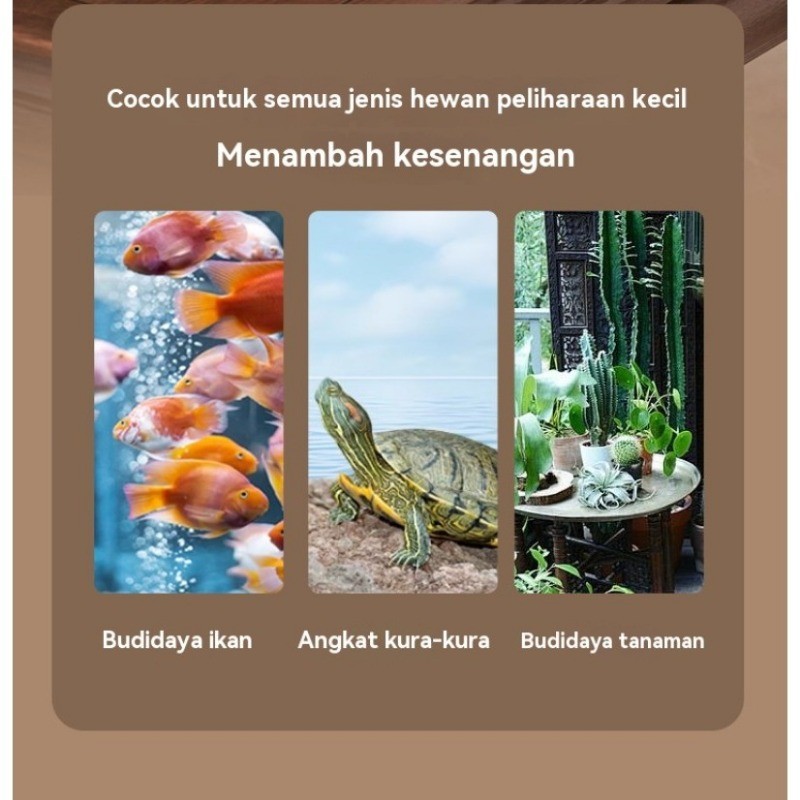 Kadung Tresno Aquarium Bulat Mini Bulat Aesthetic Aquarium Tank Cupang Mini Vas Aquarium Bulat Ikan