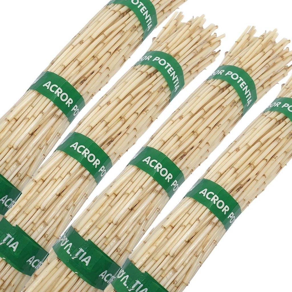 

Akar Alang-Alang (Akar ilalang 4 ikat/1kg)