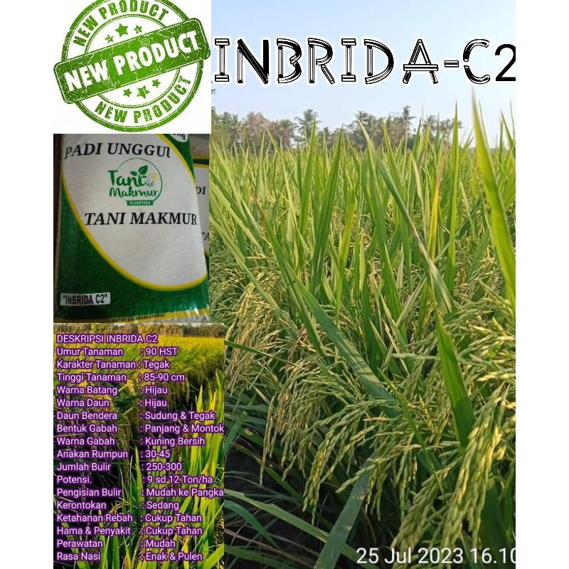 BENIH PADI BARU INBRIDA C2 5KG ORIGINAL