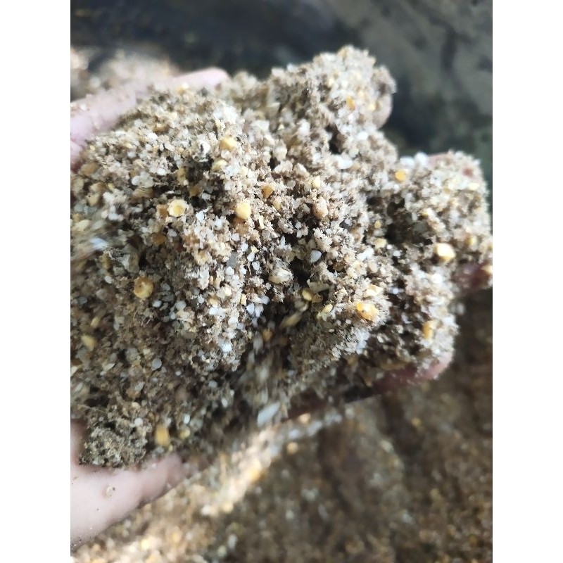 IMRON PRIBADI Paket 1Kg PAKAN AYAM PEMBESAR DOC  Skala Rumahan Feed Mix Alternatif Fermentasi Kering