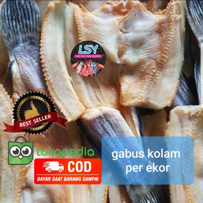 

BEST SELLER ! ikan asin gabus kolam