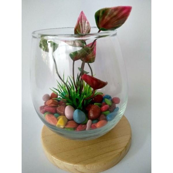 PAKET AQUARIUM MINI IKAN CUPANG IKAN KECIL AQUARIUM GELAS KACA