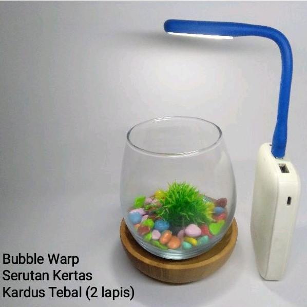 PAKET AQUARIUM MINI hiasan dan tatakan kayu | Paket aquarium mini