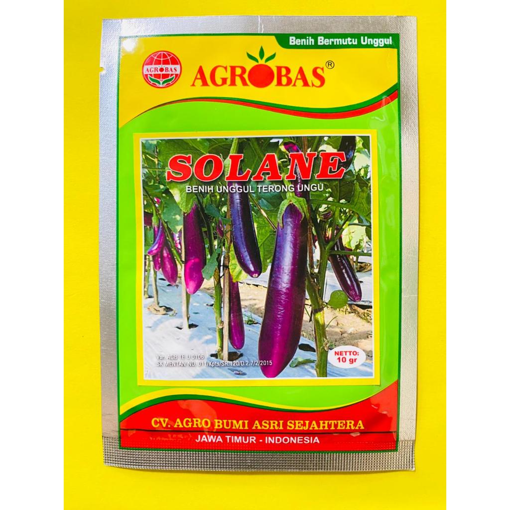 Benih Terong Ungu Unggul SOLANE kemasan 10gram dari AGROBAS