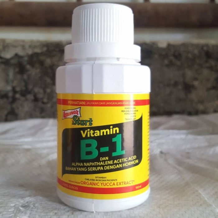 Pupuk Hormon Vitamin B-1 Semua Jenis Tanaman Hias Bunga Dan Buah