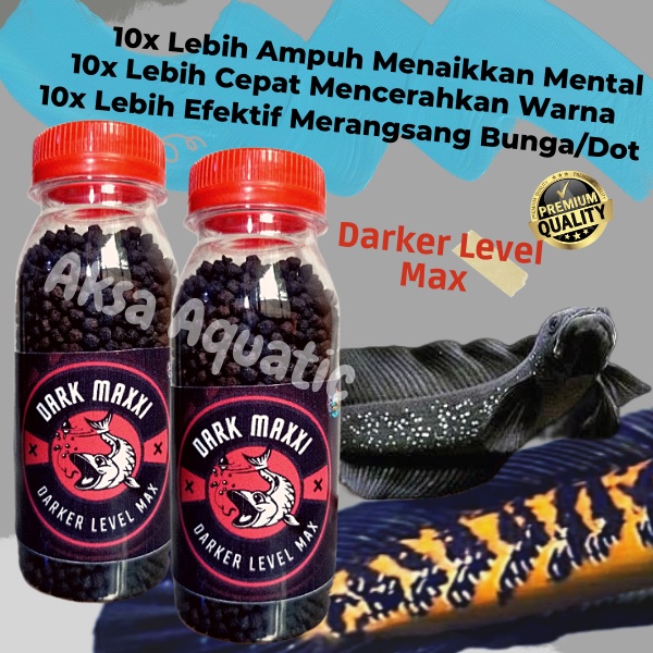 Pellet Black Darker Pakan Ikan Channa Asiatica WS (maxi)