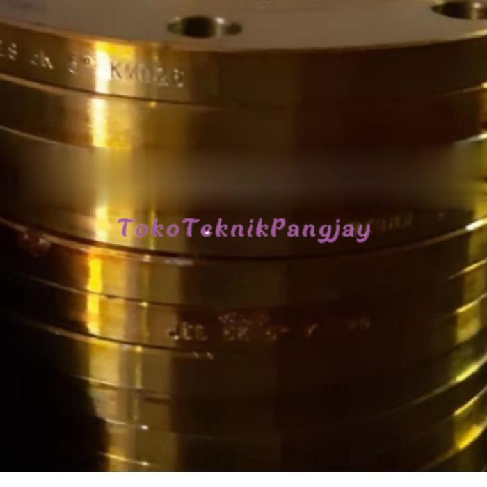 Blind Flange / BUTA JIS 16K Besi 6 inch