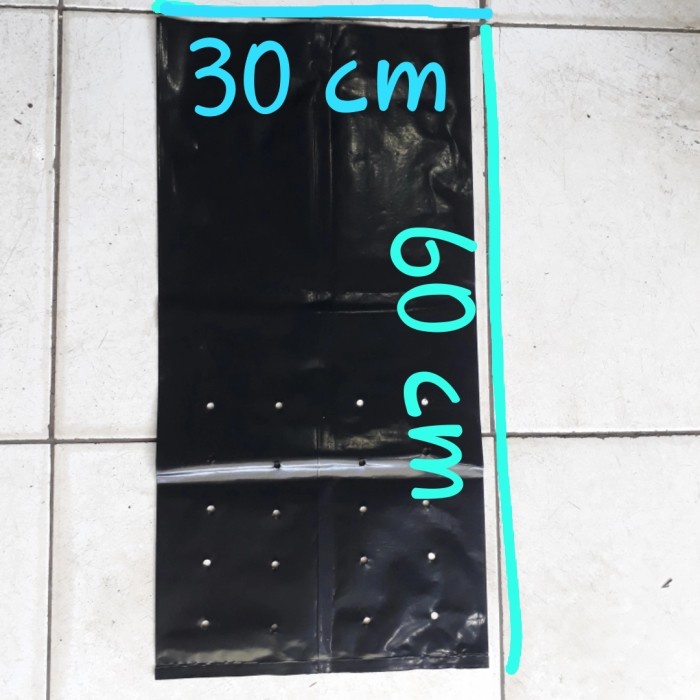 polybag 60 x 60 cm, polybag besar