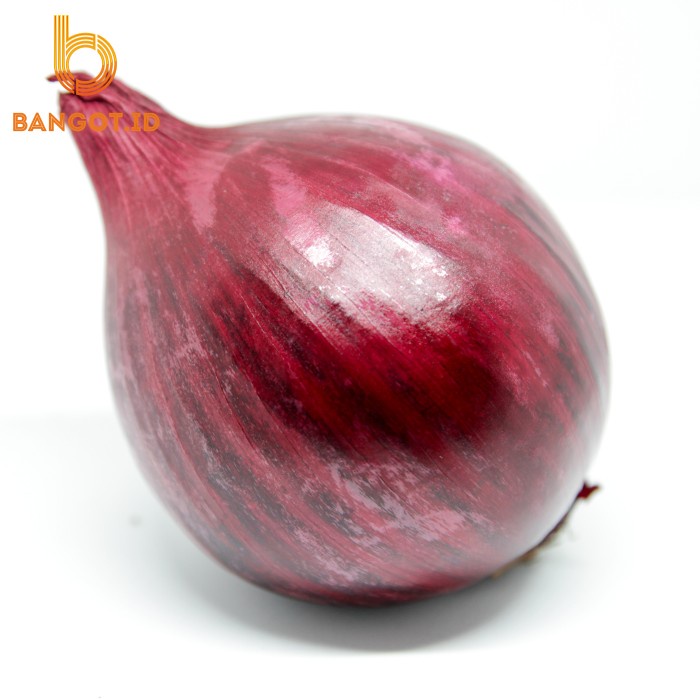 

Bombay Merah Satuan / per Buah