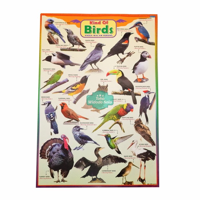 

Poster Edukasi Burung 35x50cm Ecer Per 1 Lembar